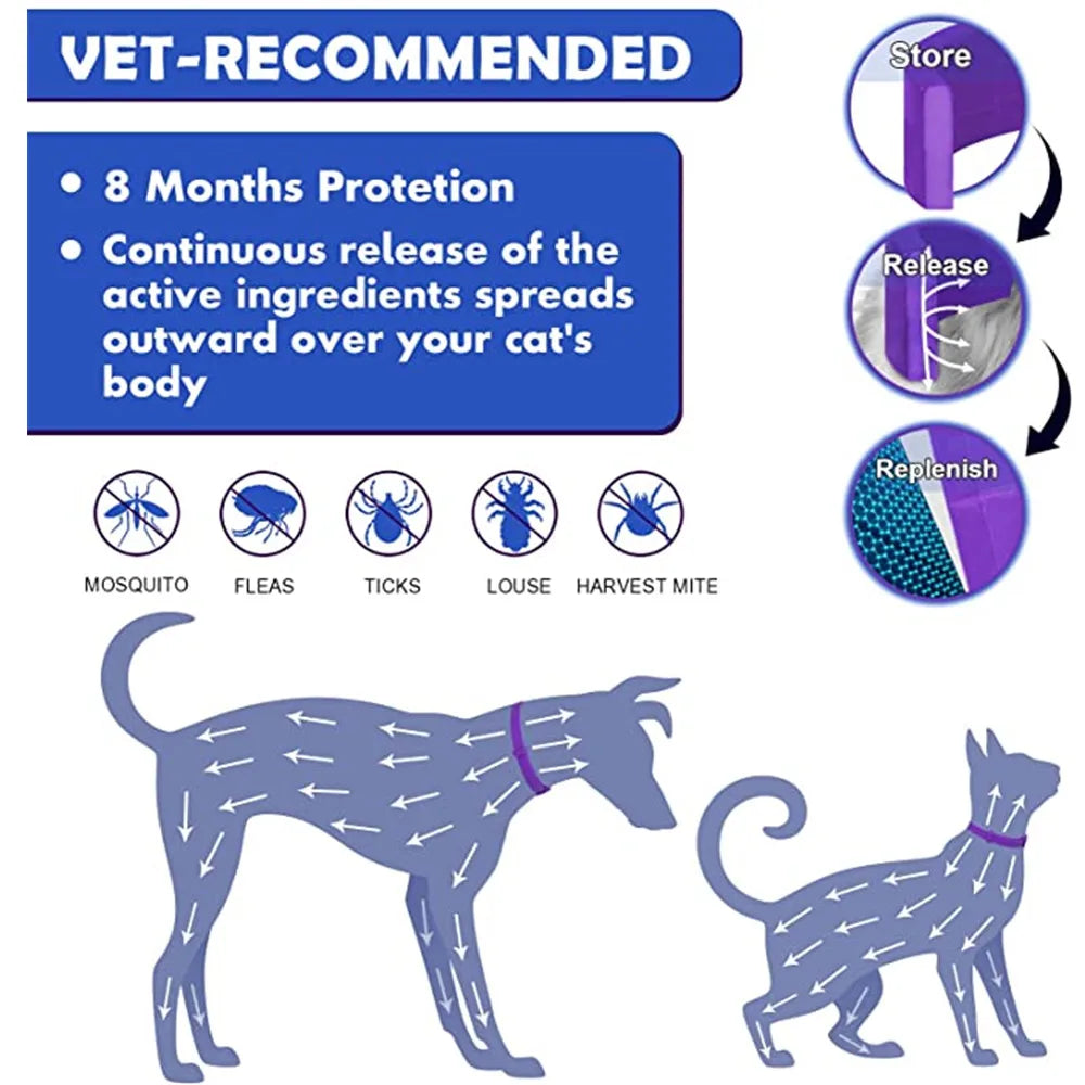 Collar para mascotas morado diseñado para liberar ingredientes activos continuamente para protección contra plagas y alivio d