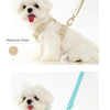 Macaroon Reflektierendes Hundegeschirr & Leinen-Set