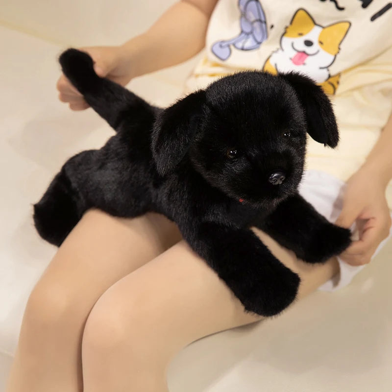 A small black Labrador plush toy is being held by a person, resting on a white surface.