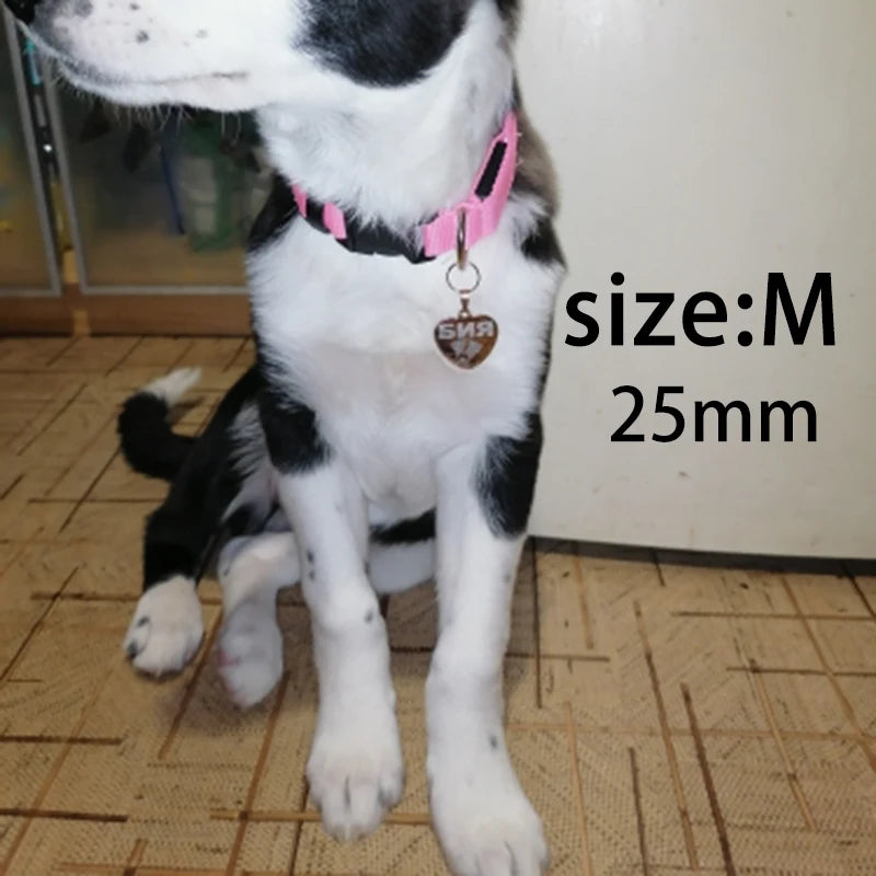 Personalized Pet ID Tag for Collar - Engraved Heart Tag