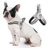 A white and black bully breed dog wearing a gray reflective mesh pet harness for walking.