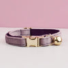 A purple velvet cat collar with a gold-toned buckle and a spherical bell.