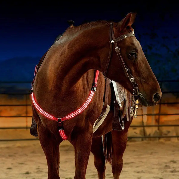 Harnais de poitrine en nylon pour cheval avec éclairage LED et recharge USB