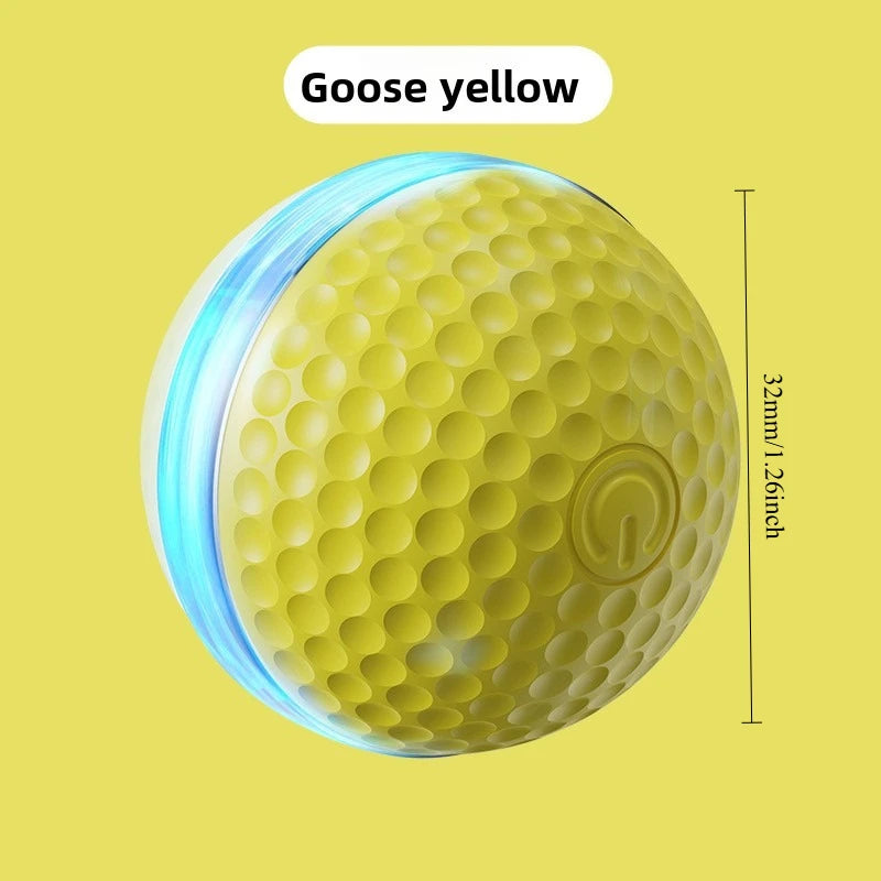 Interactive Automatic Rolling Dog Ball with Motion Activation