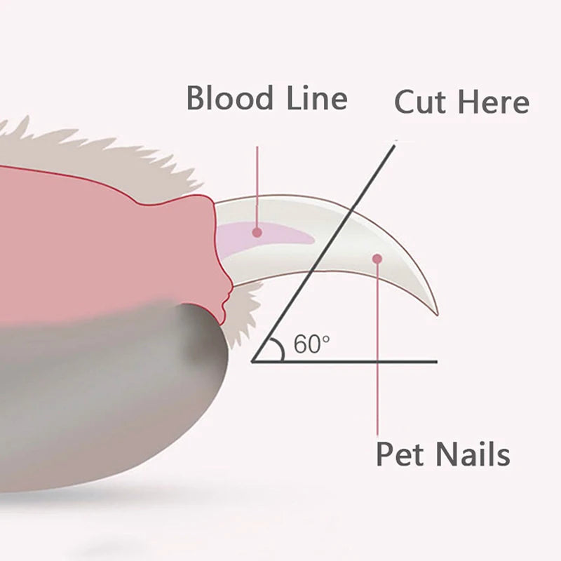 Coupe-ongles pour animaux de compagnie avec lumière LED intégrée