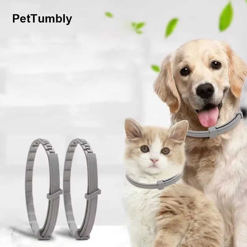 A golden retriever and a cat wearing adjustable silicone pet collars.