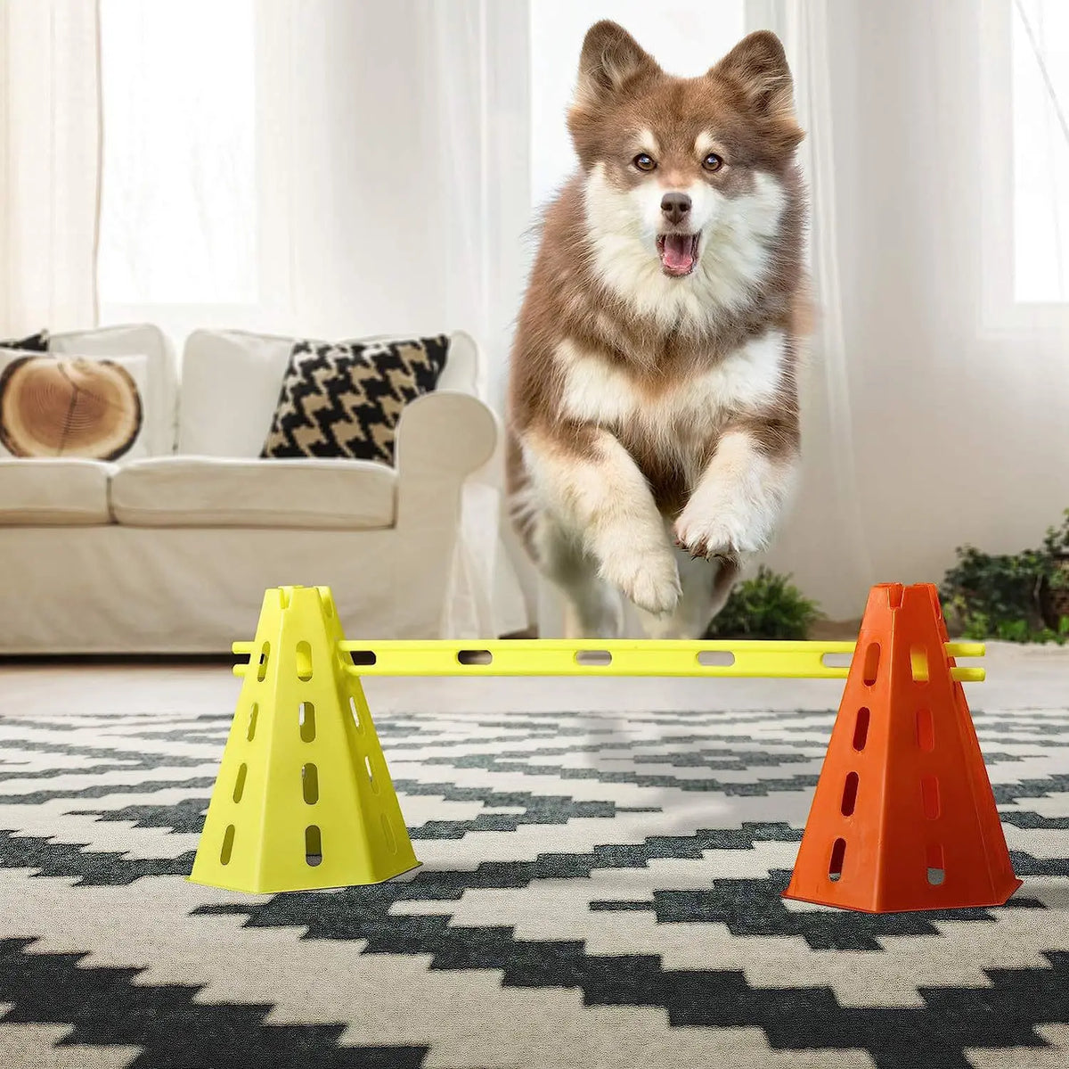 Juego ajustable de barras para saltos de agilidad para perros con conos amarillos y naranjas sobre una alfombra estampada.