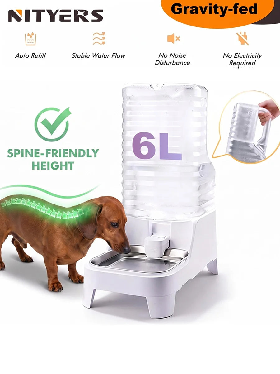 A white gravity-fed pet water dispenser with a 6L capacity and an elevated stainless steel tray is shown next to a dog.