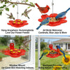2-in-1 Hummingbird Feeder with Suction Cup & Hanging Design