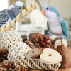 Natural Foraging Box Bird Toy with Foot Toys for Parakeets, Cockatiels, Conures, and Lovebirds