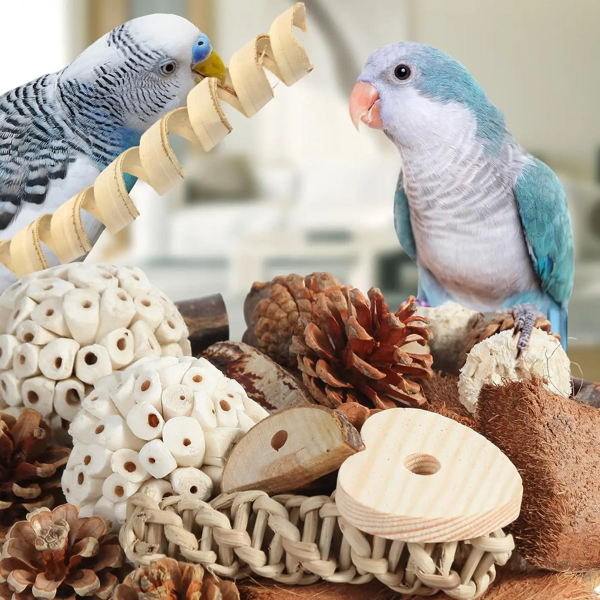 Natural Foraging Box Bird Toy with Foot Toys for Parakeets, Cockatiels, Conures, and Lovebirds