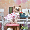 Handmade Dog Bows with Rubber Bands - Polka Dot & Solid Styles