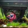 3-in-1 Floating Cave, Hammock, and Feeding Ring for Betta Fish and Shrimp