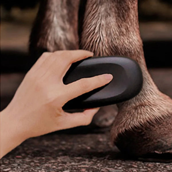 Brosse de toilettage ergonomique pour chevaux avec poignée antidérapante