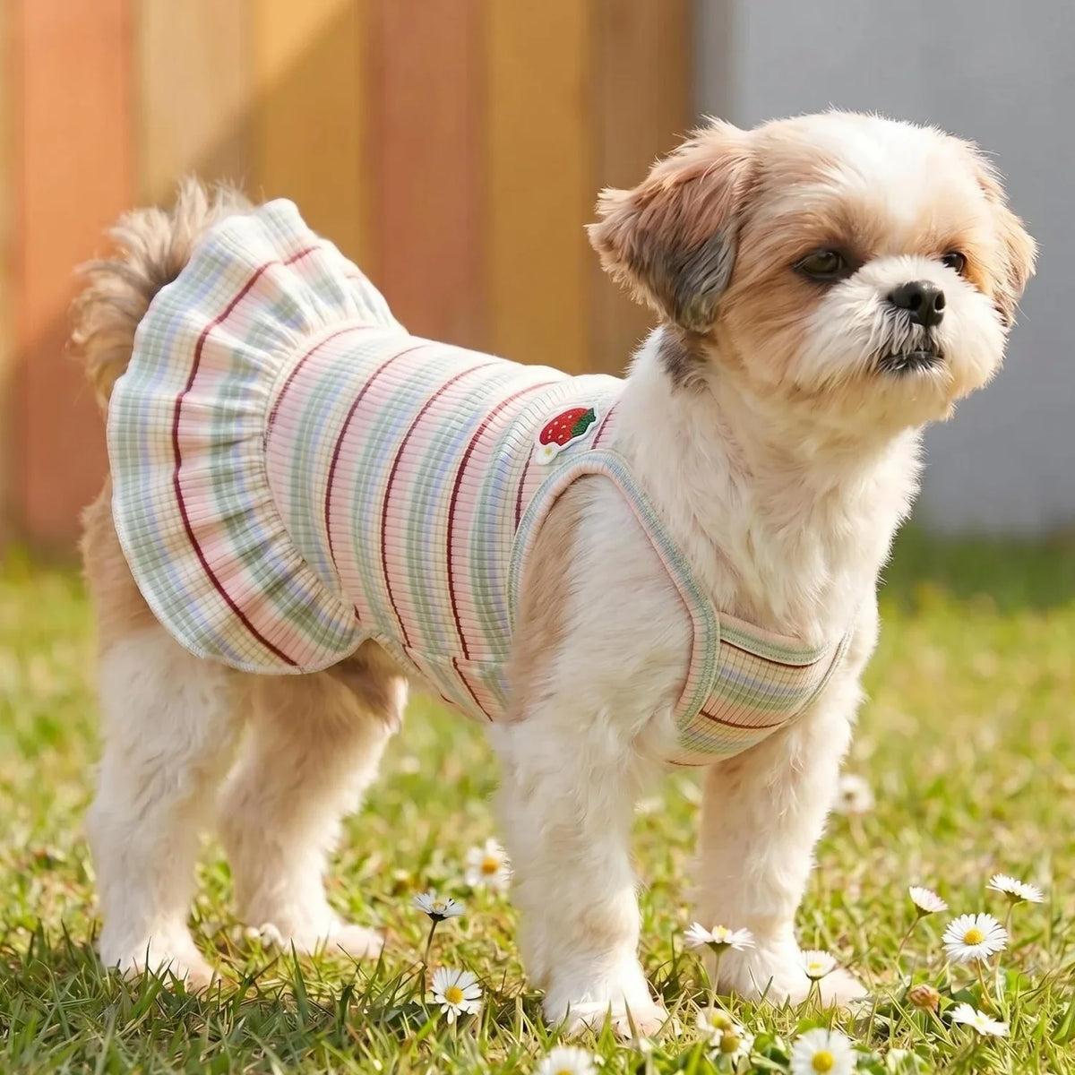 Sweet Strawberry Print Princess Dress for Small Dogs & Cats