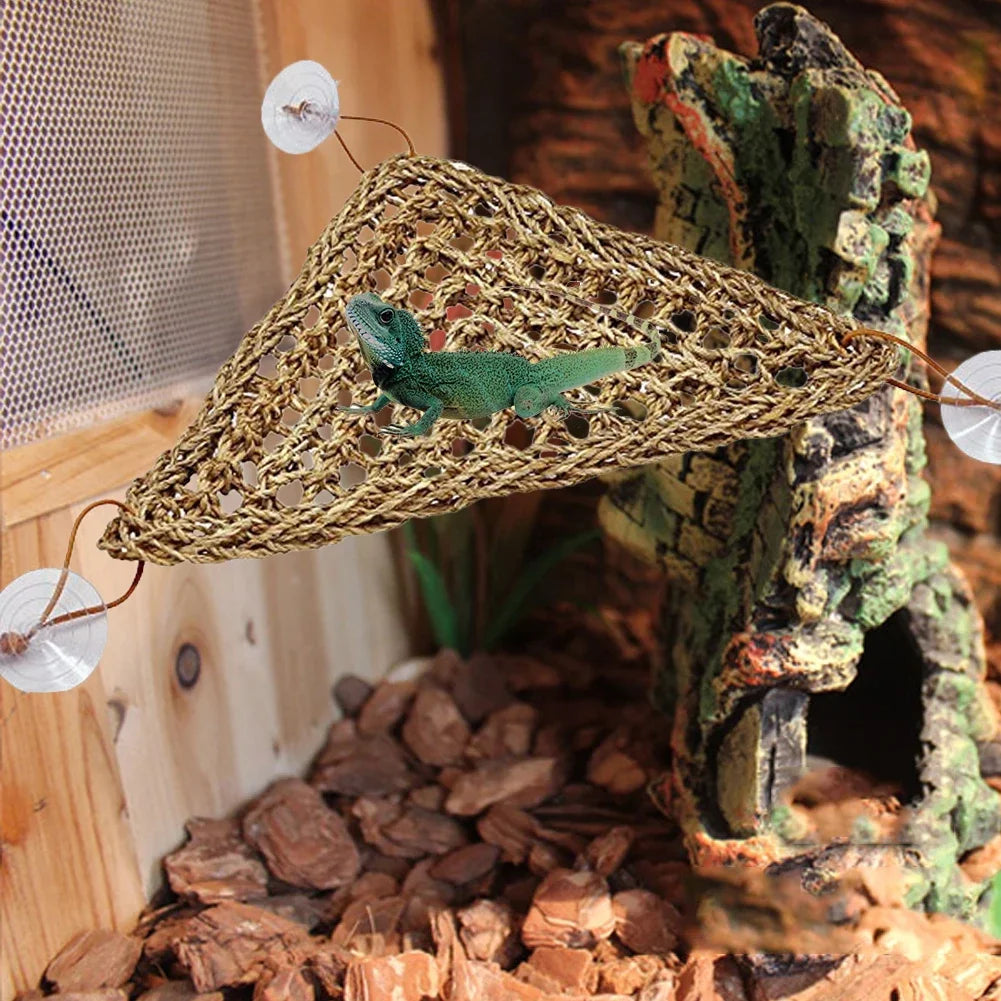 Natural Seaweed Reptile Hammock with Suction Cups