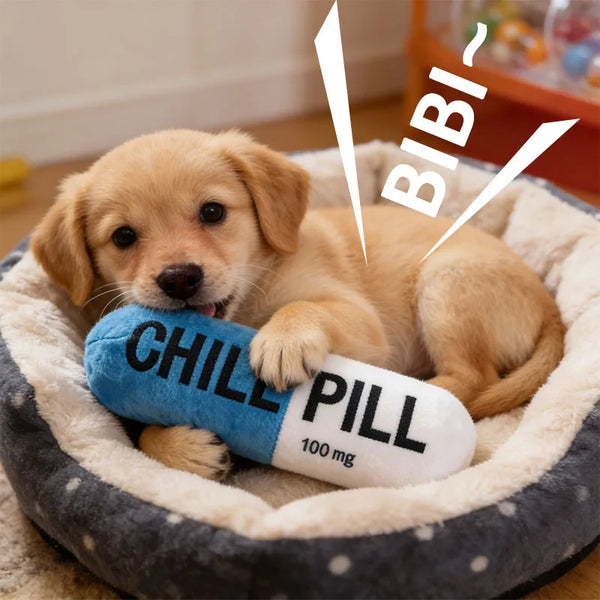 A golden puppy is lying in a pet bowl with a blue pill chew toy labeled Chile Pill