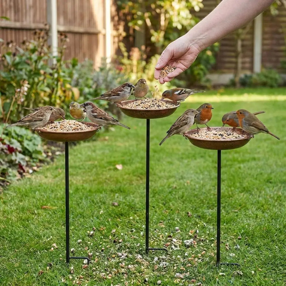 Rustic Iron Bird Feeder with Wide-Mouth Water Basin