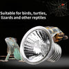 Lampe chauffante ajustable à col de cygne pour reptiles avec ampoule 50W