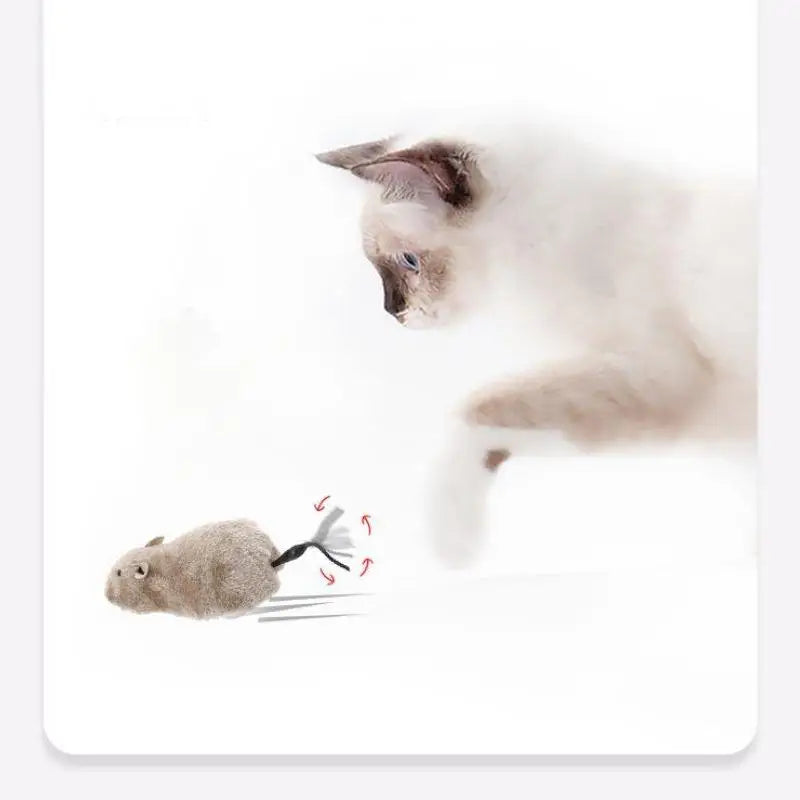 Un gatito blanco peludo juega con un pequeño juguete de ratón gris.