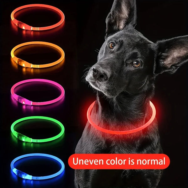 Collier LED rechargeable par USB pour la sécurité nocturne de votre chien
