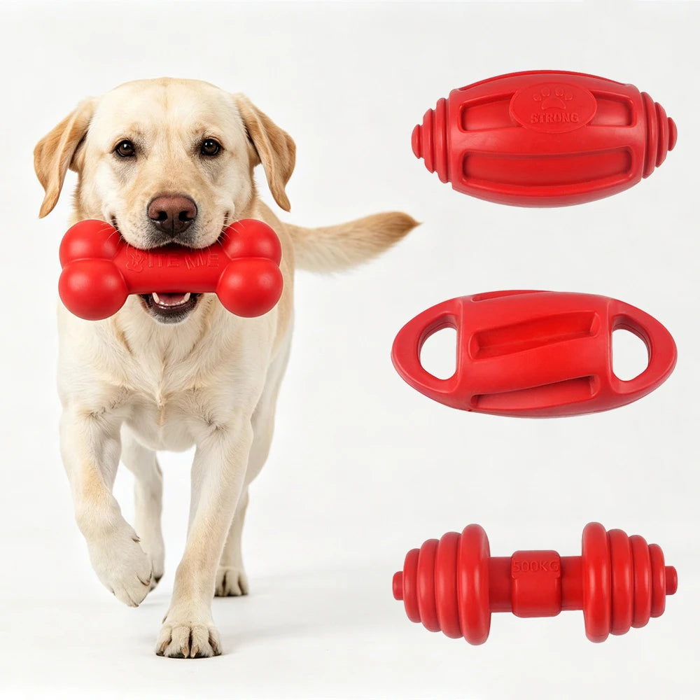 A golden retriever dog is holding a red hexagonal chew toy, with various red rubber toys displayed nearby.