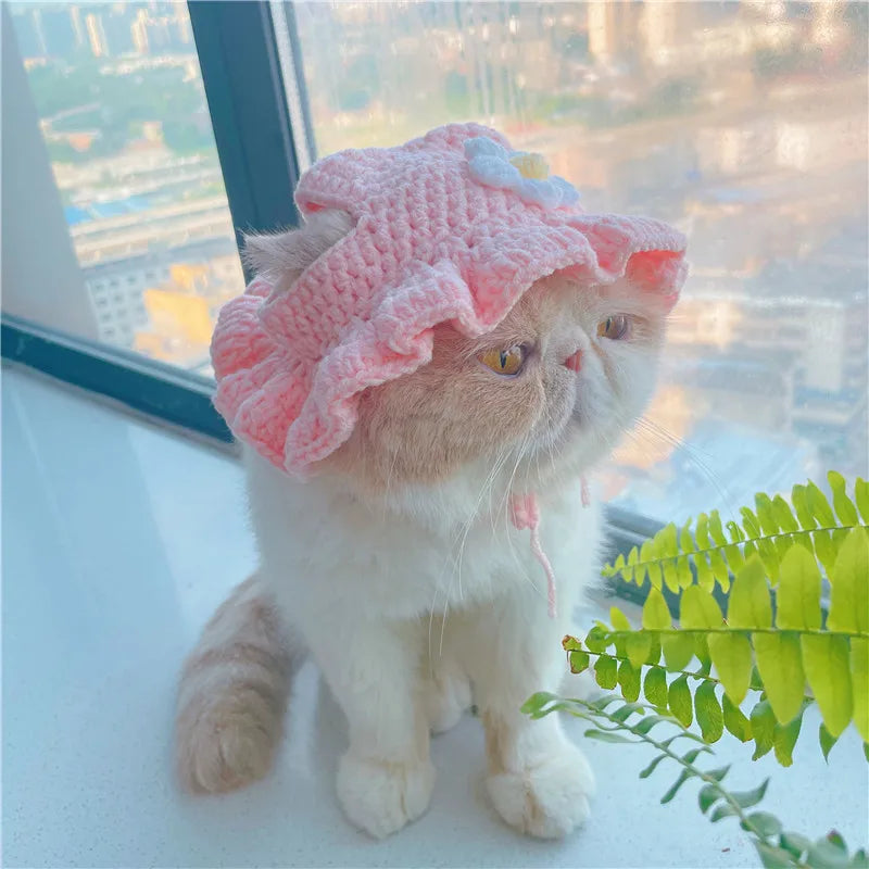 Un chat orange et blanc duveteux portant un bonnet tricoté rose, assis devant une fenêtre avec de la verdure visible à l'exté