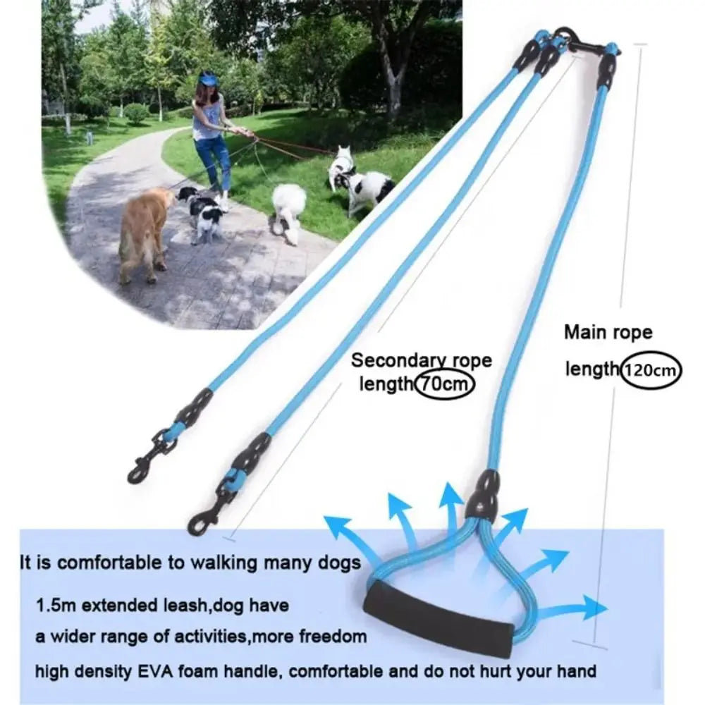 A blue dual dog leash system showing a main rope and a secondary rope with an extended leash for walking two dogs.