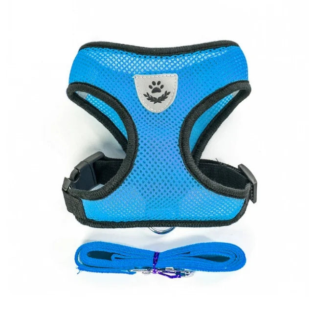 Verstellbares Mesh-Hundegeschirr und Leinen-Set