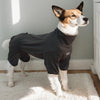 Cozy High-Collar Dog Pajamas – Four-Legged Sleepwear for Large Breeds