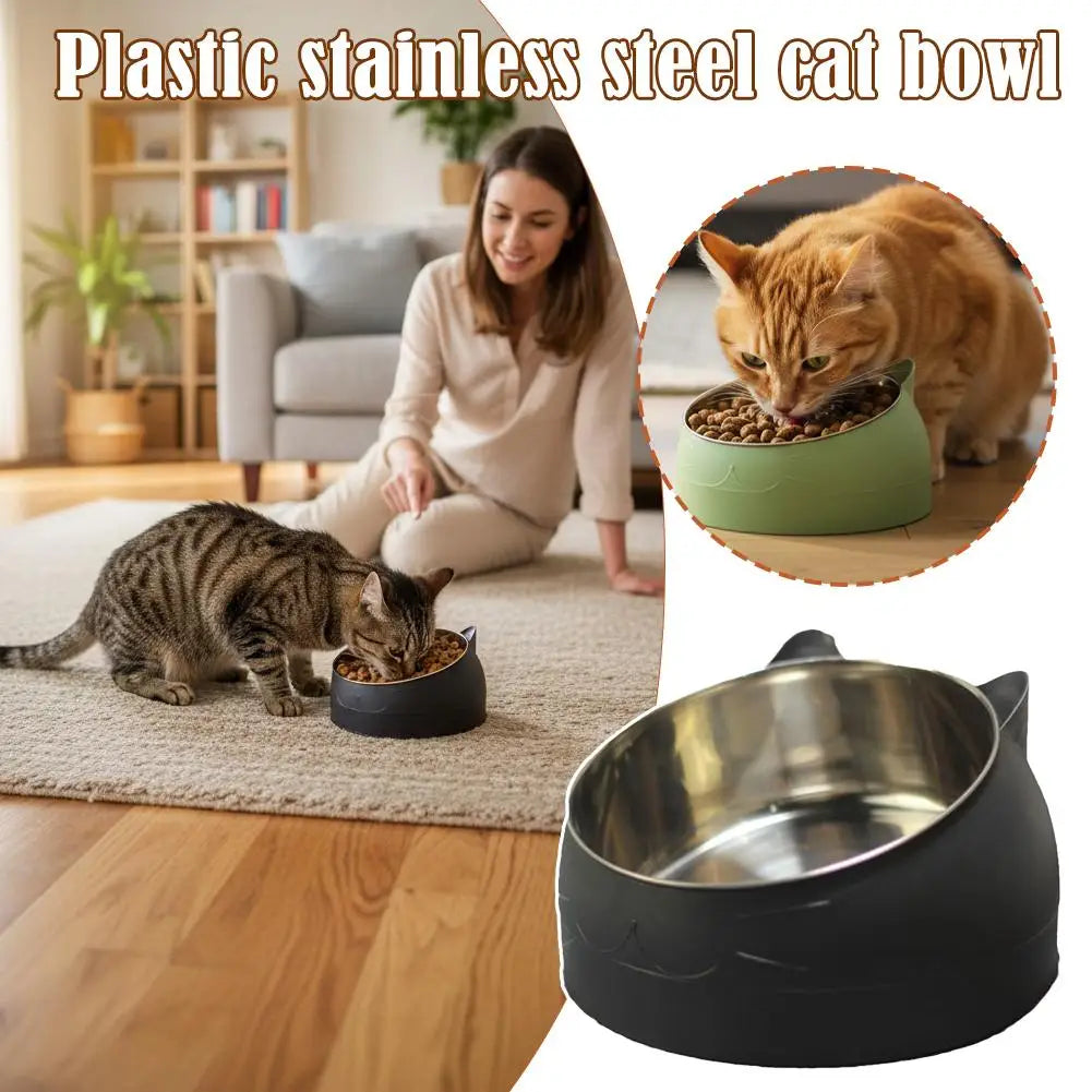 A plastic stainless steel cat bowl is shown next to a woman and a cat, with a larger stainless steel bowl displayed separatel