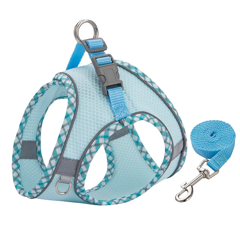 Light blue reflective dog harness and leash set with a silver clip