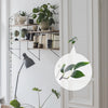 Betta Fish Rest Leaf Aquarium Decoration