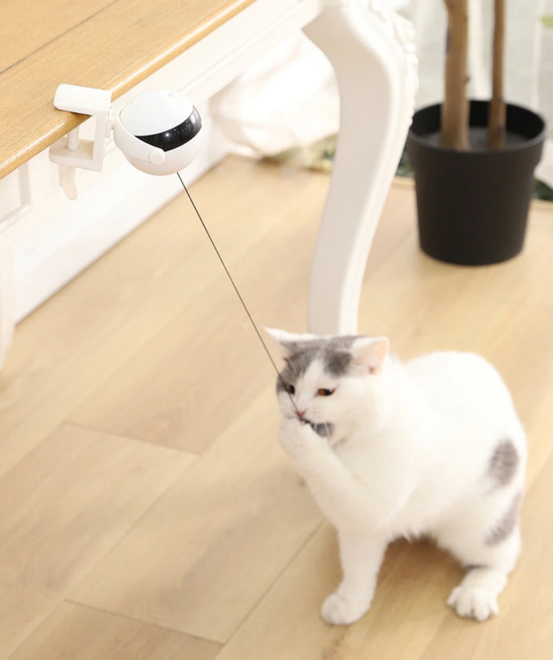Lifting Ball Electric Cat Toy with Rotating Ball