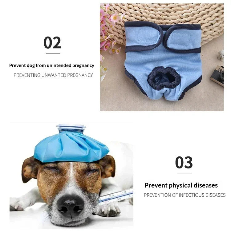 Reusable Dog Diapers for Heat Cycles and Incontinence
