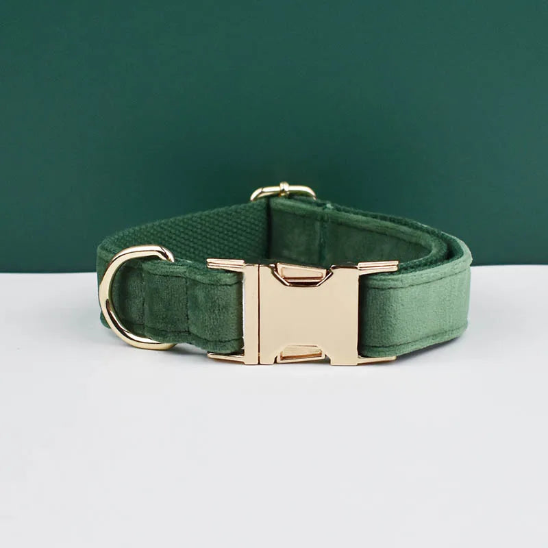 Set de collar y correa para perro de terciopelo verde y herrajes dorados sobre una superficie blanca.