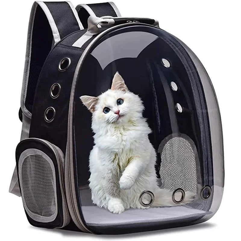 Mochila transportadora transparente para mascotas con interior negro y un gatito blanco sentado dentro.