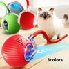 Cat Interactive Ball Toy for Kitten
