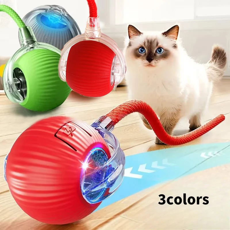 Cat Interactive Ball Toy for Kitten