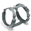 A gray adjustable no-pull reflective dog harness with an H-shaped design shown from the back.
