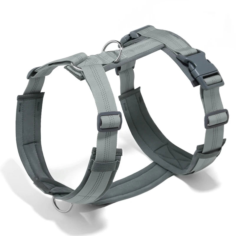 A gray adjustable no-pull reflective dog harness with an H-shaped design shown from the back.