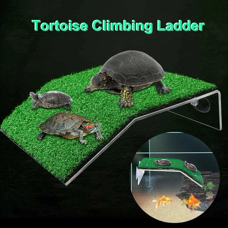 Turtle Basking Platform with Simulation Lawn Ramp