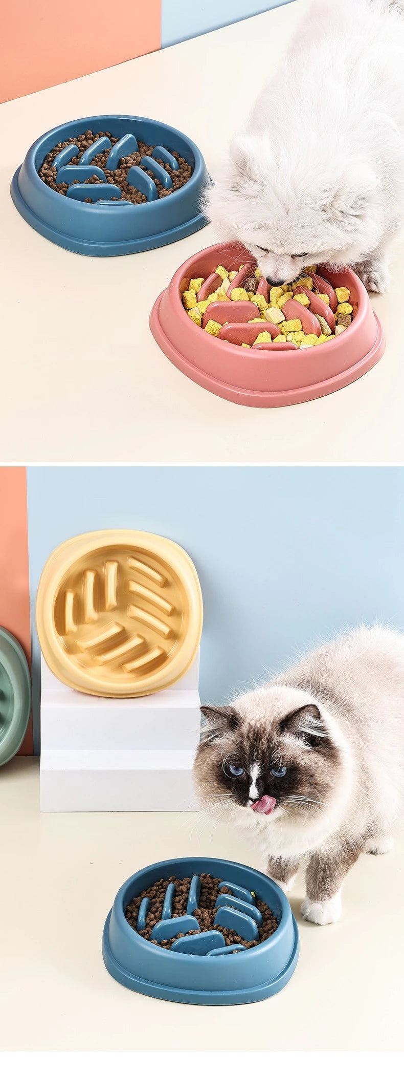 A fluffy white cat is eating food from a pink bowl, with other blue and gold bowls visible.