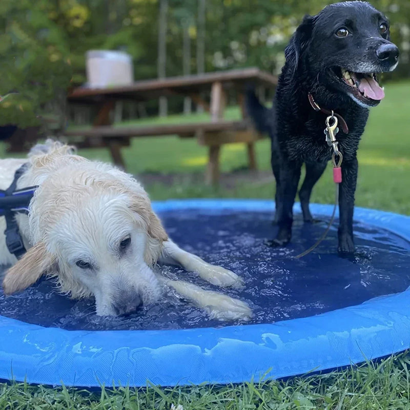 Bassin gonflable rafraîchissant et tapis arroseur pour animaux