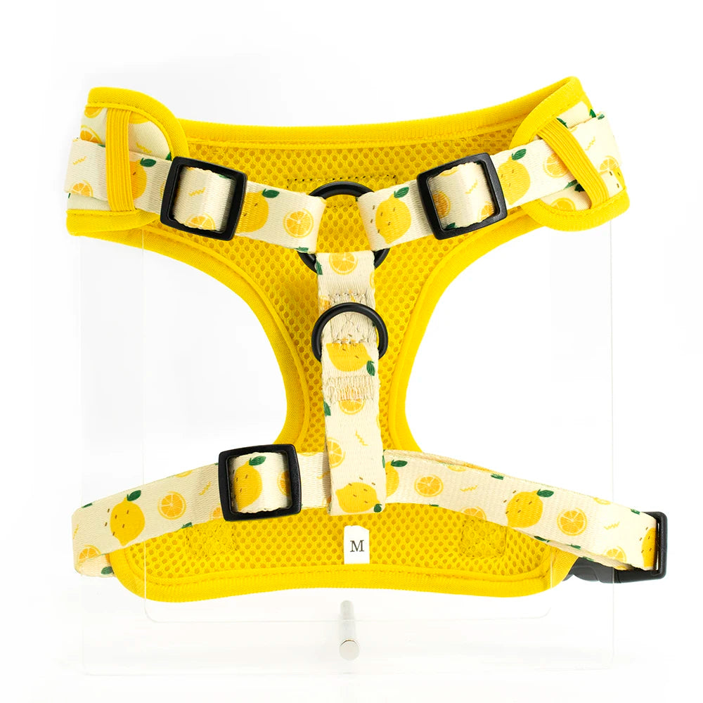 Yellow dog collar with a lemon print pattern and black hardware