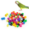Bagues en plastique numérotées pour pattes d'oiseaux (9 mm)