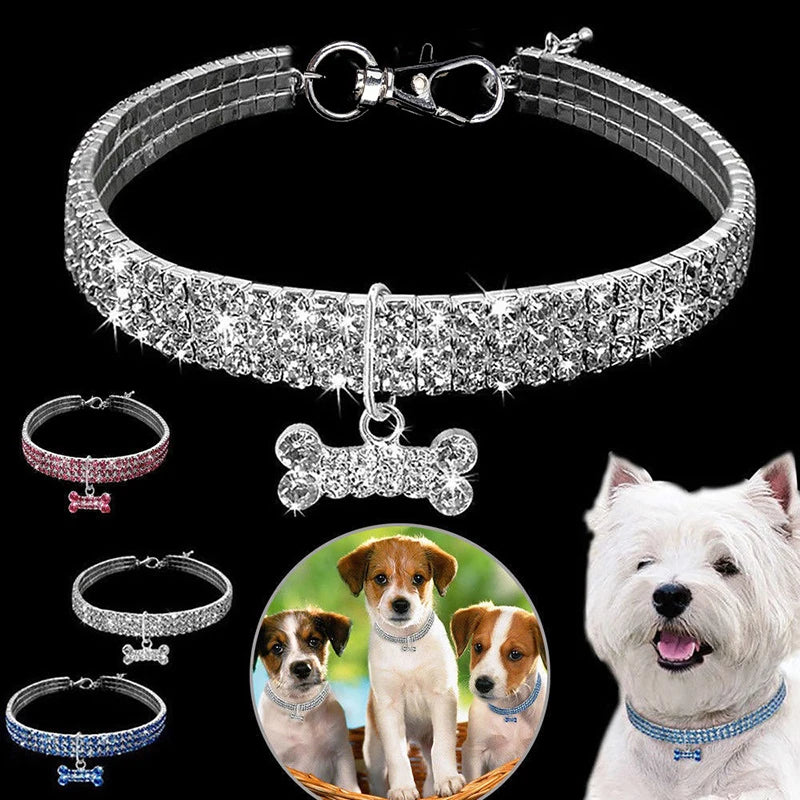 A silver crystal rhinestone dog collar with a quick release buckle displayed next to a white dog.