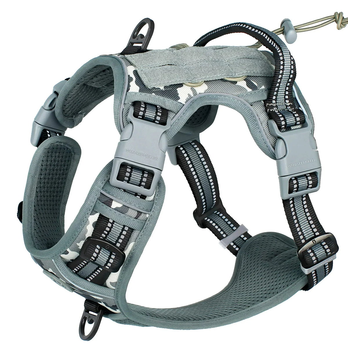 Graues taktisches Hundegurt mit schwarz-weißem Webbing und MOLLE-Funktionen.