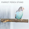 A small blue parrot is perched on a wooden branch, demonstrating the use of a parrot perch stand.