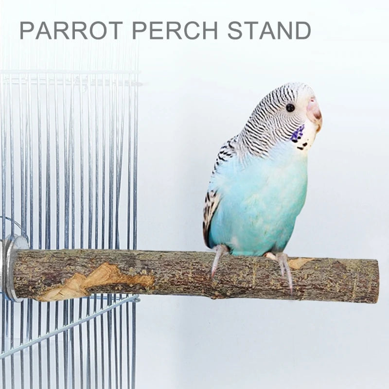 A small blue parrot is perched on a wooden branch, demonstrating the use of a parrot perch stand.